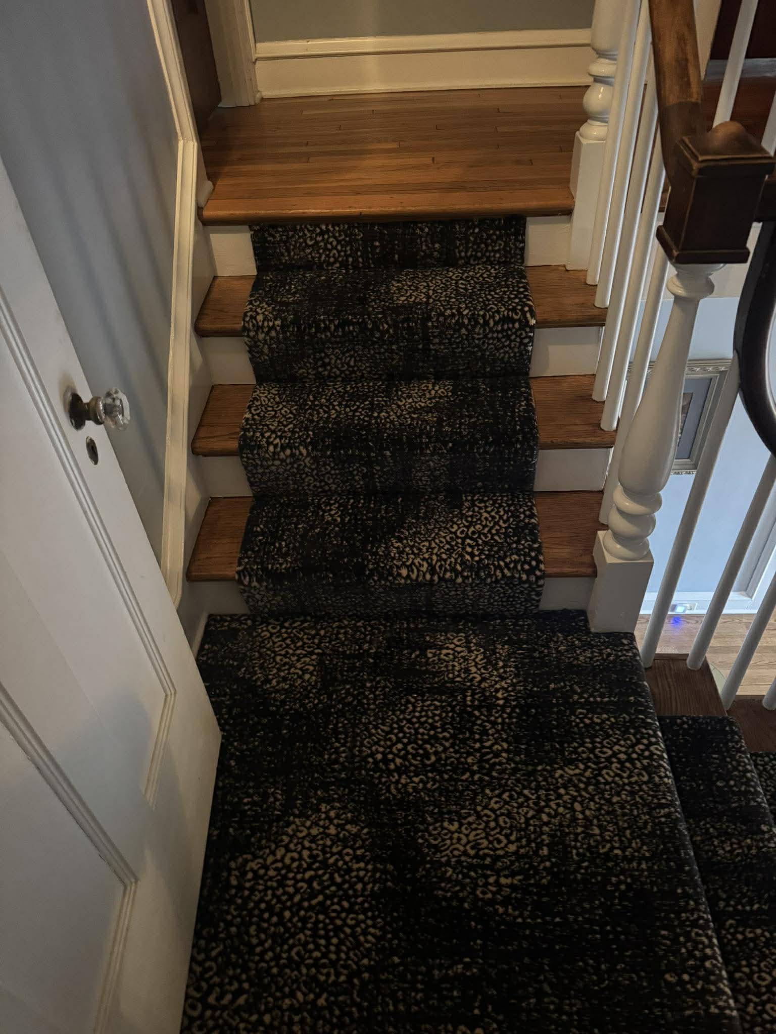 Black leopard print carpet on stairs